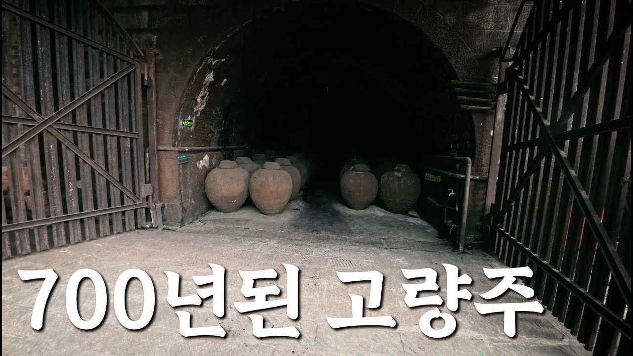 (Eng) 명나라때 부터 살아 숨쉬는 술을 마시러 중국으로 떠났습니다 - 노주노교 고량주 탐방