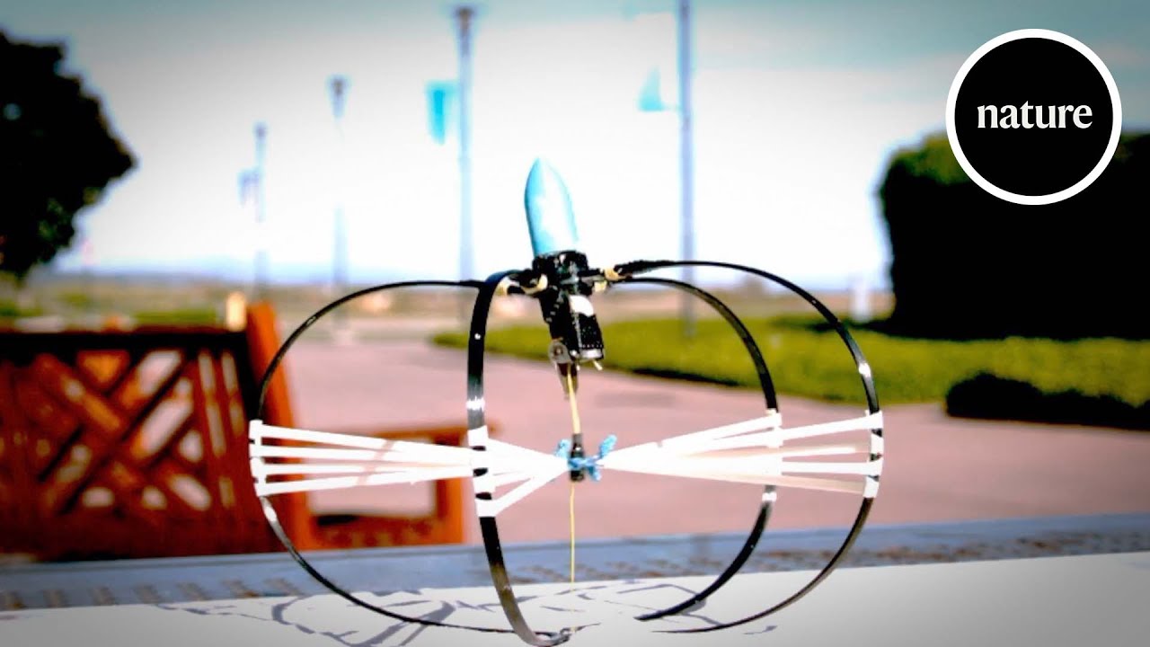 Jumping robot leaps to record heights