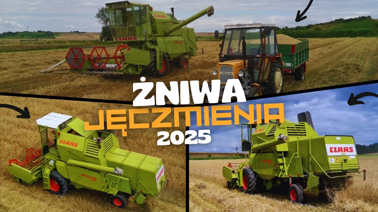 ✮🌾Żniwa Jęczmienia 2025🌾✮Claas Mercator 60🔥✮