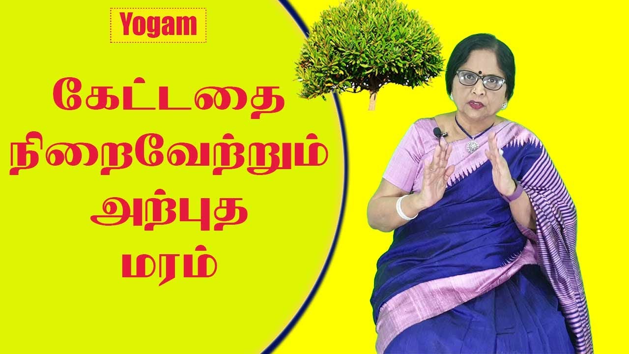 கேட்டதை நிறைவேற்றும் அற்புத மரம் / Dr.Meenakshi.A / Yogam | யோகம்