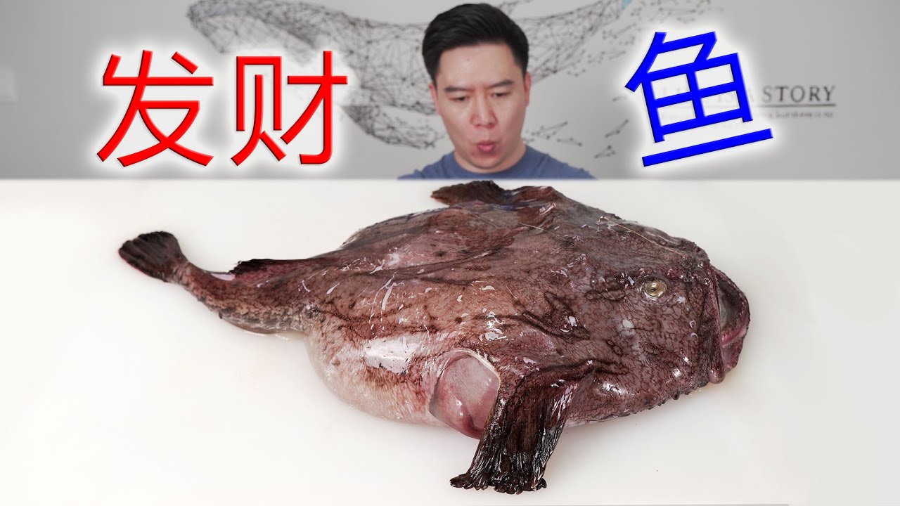 奇丑无比的超大鮟鱇鱼终于来了，鱼肝出奇的好吃，入口即化，太美味了【小文哥吃吃吃】