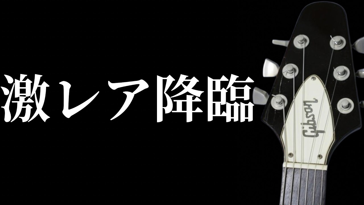 【2026年2月12日時点】買うべき販売中の2本のヴィンテージギターを紹介します