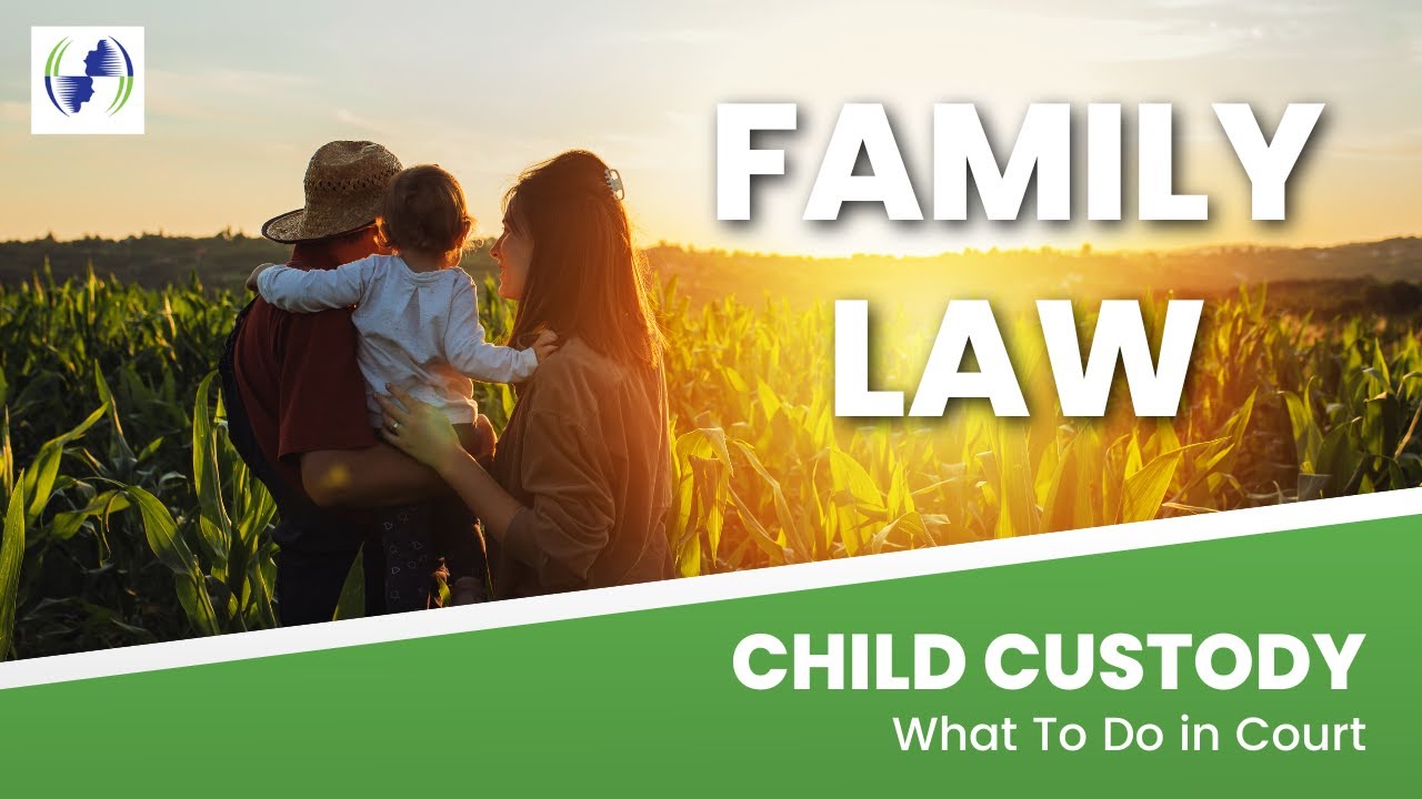 Child Custody - what to do in court