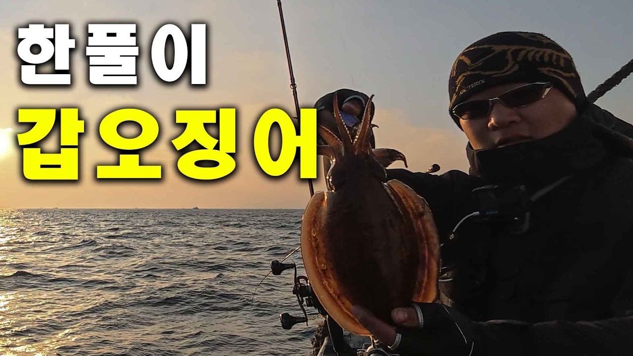 제주도 심해갑오징어 물이 안가기 때문에 예민할 수 밖에 없습니다 (feat.금동호)