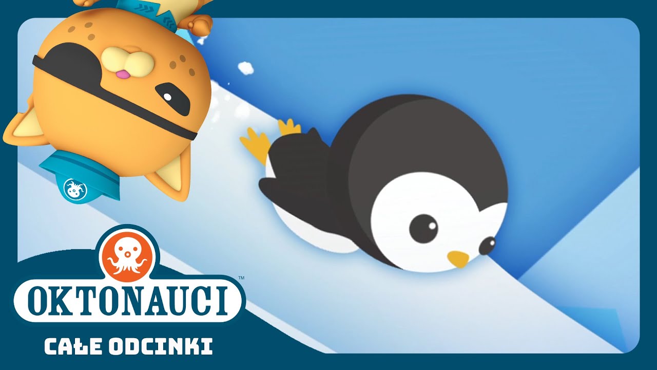 Oktonauci - 🥇 Wyścig pingwin&oacute;w o Złoty Puchar 🐧 | Cały odcinek 50 | Seria 1