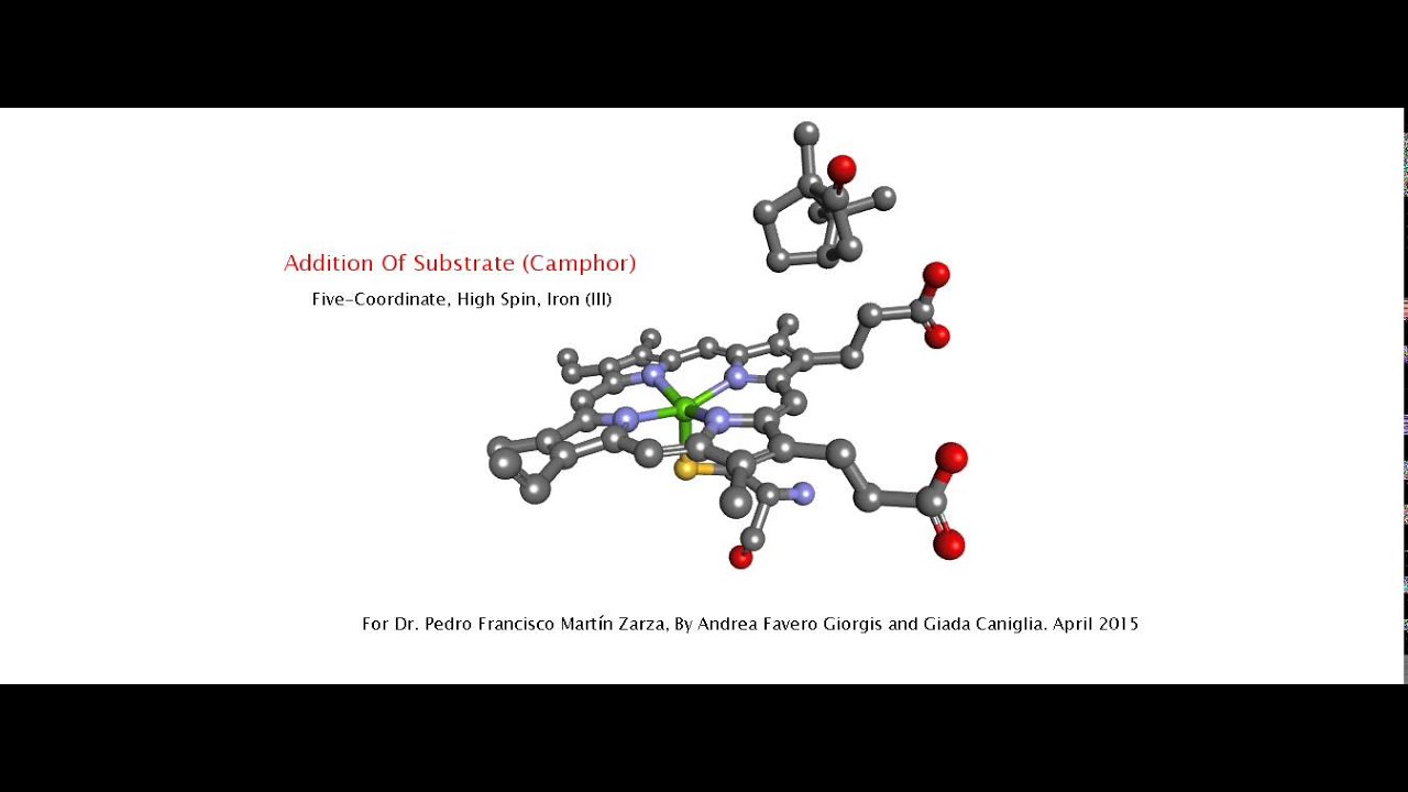 Catalytic Cycle Of P450