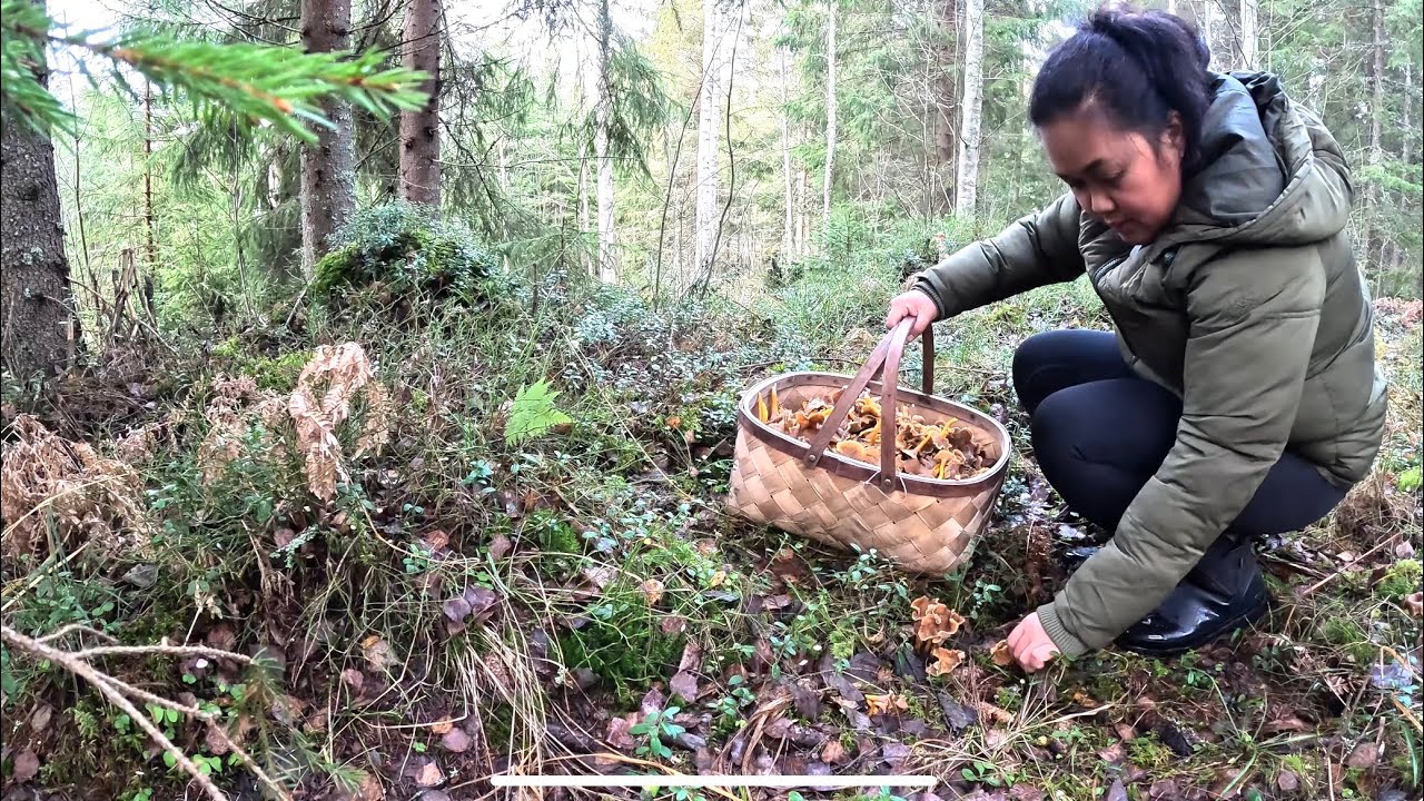 WINTER MUSHROOM HUNTING PART 1 | THE LINDEMANS