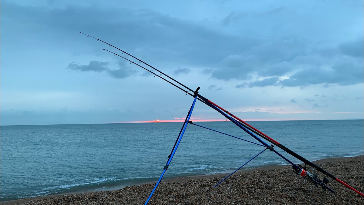 Cod Quest Success- Chesil Beach