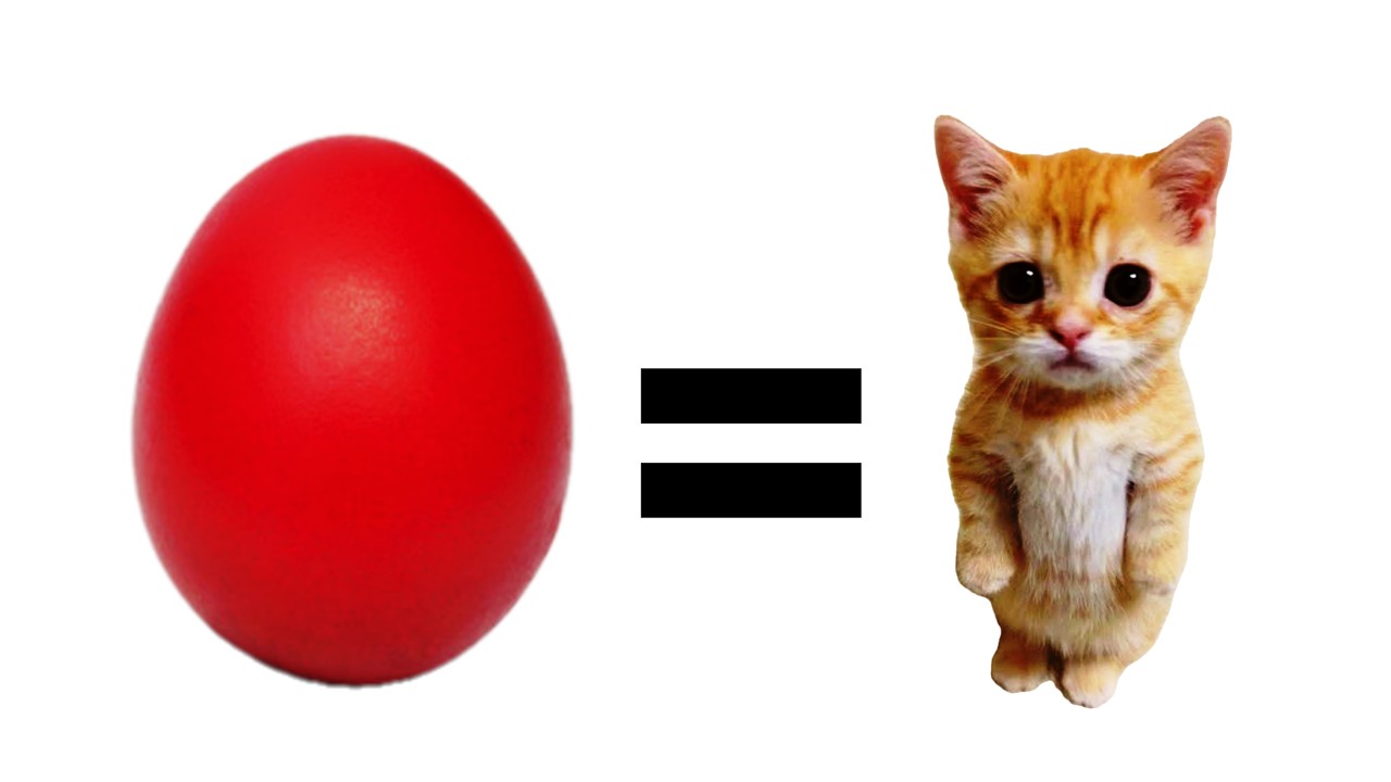 EL GATO come's from red egg