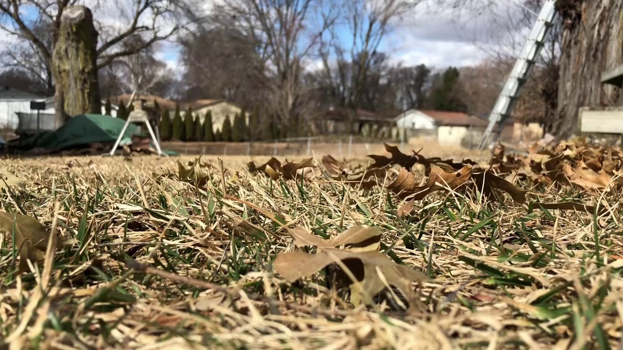 Time-lapse: 55 mph Wind Gusts