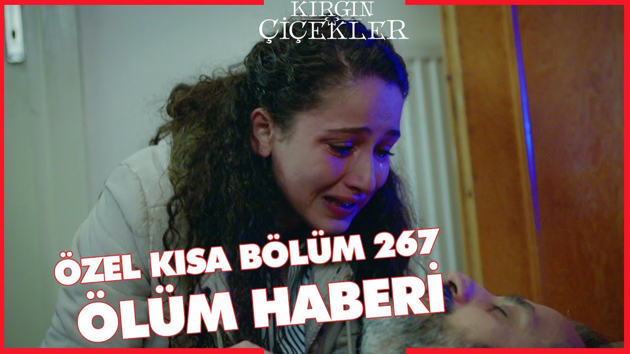 Kırgın Çiçekler Özel Kısa Bölümler | 267