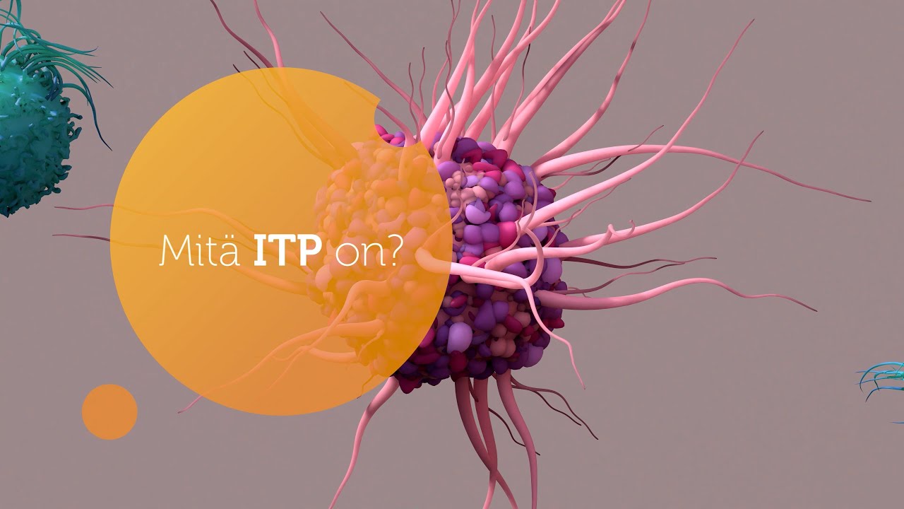 Mikä on ITP? - Tohtori Waleed Ghanima selittää ITP:stä