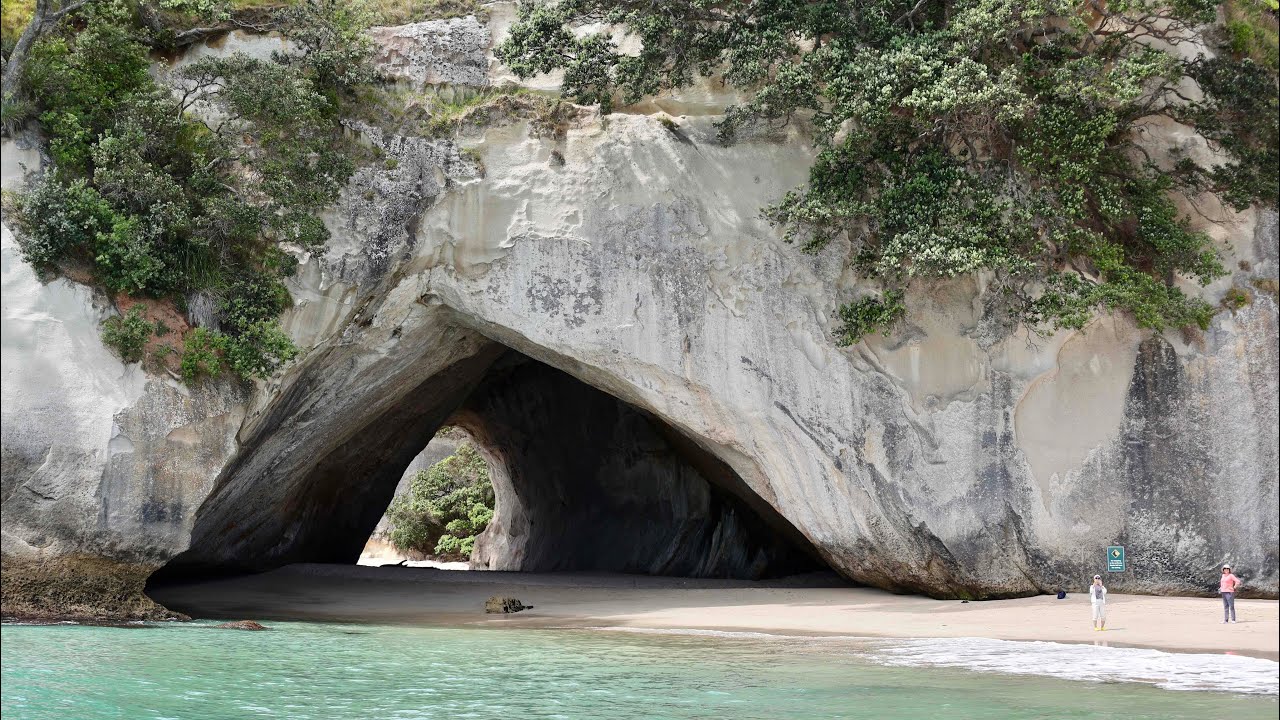 New Zealand - Coromandel Peninsula & Auckland December 2024