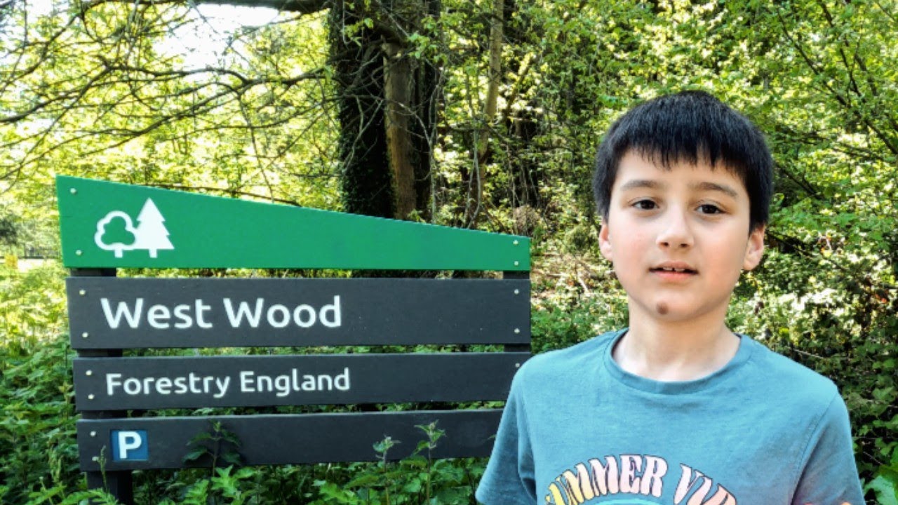 West Wood Forestry England South of Marlborough