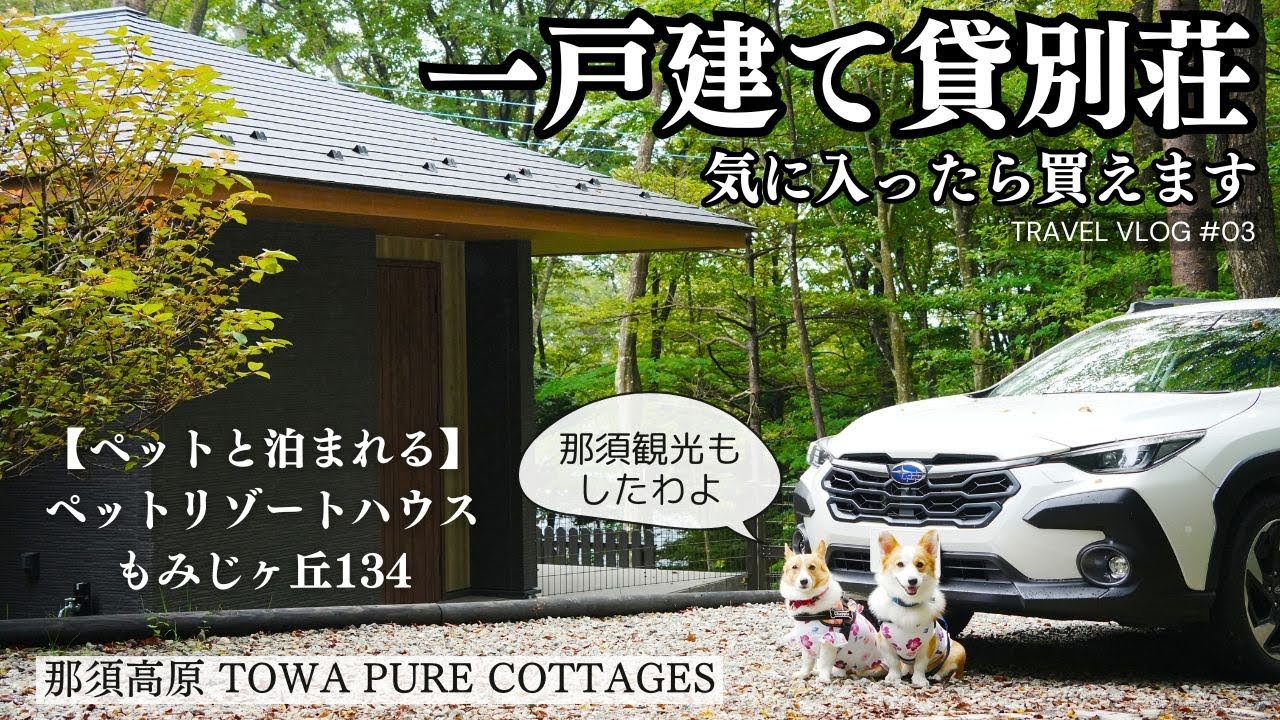 【那須高原TOWAピュアコテージ宿泊】プライベートドッグラン付きの一戸建て貸別荘に宿泊！那須観光は霧の中