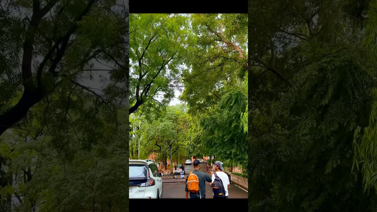Weather ⛈️☔️🌧️🌦️ Chandigarh weather #chandigarh #collegelifememes #vlog #rain #instgram #reel