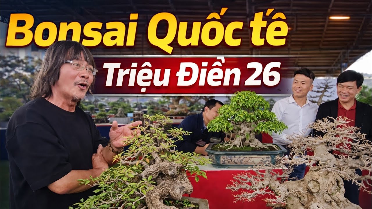 Triệu Điền 5:Chất Bonsai quốc tế trong triển lãm Mộc Thạch Kỳ Viên- Triệu Điền 26 #bonsaimini 