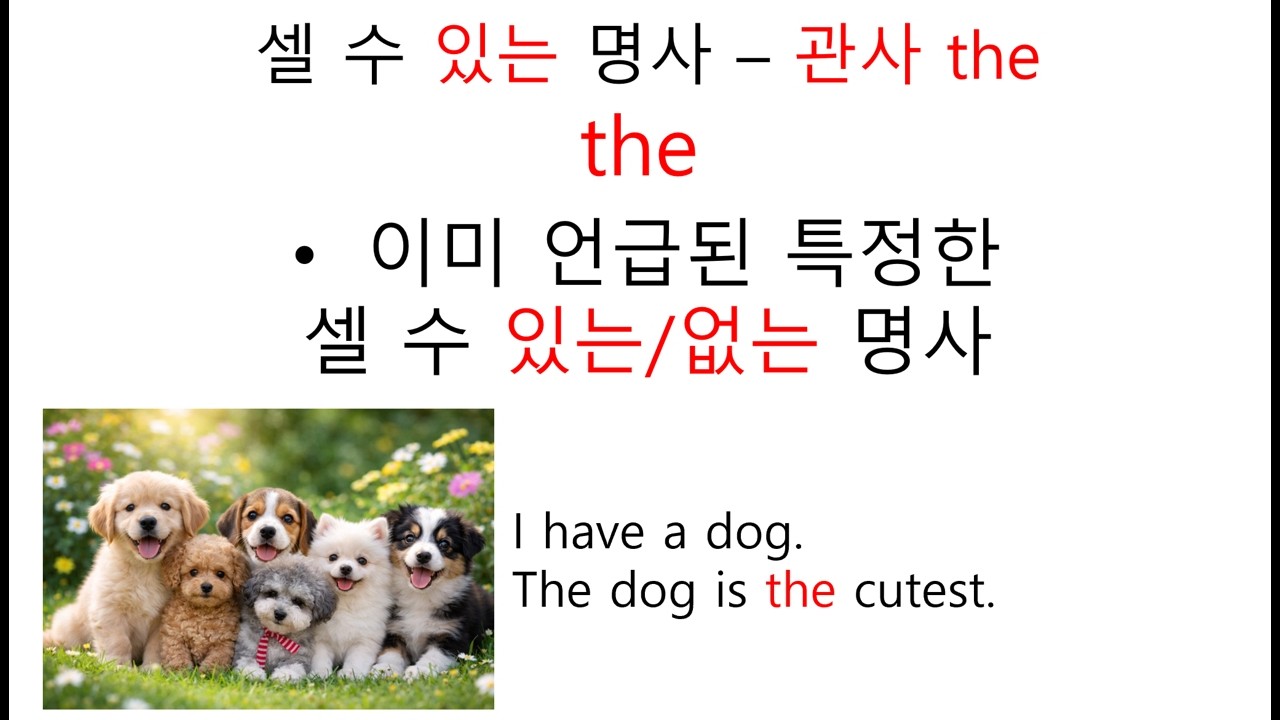 부정관사 a/an vs. 정관사 the