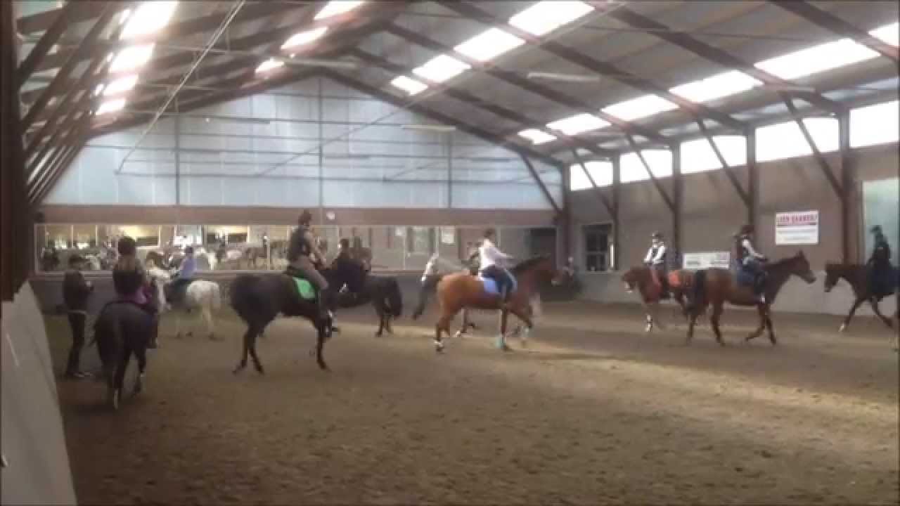 carrousel 11 manege t halster