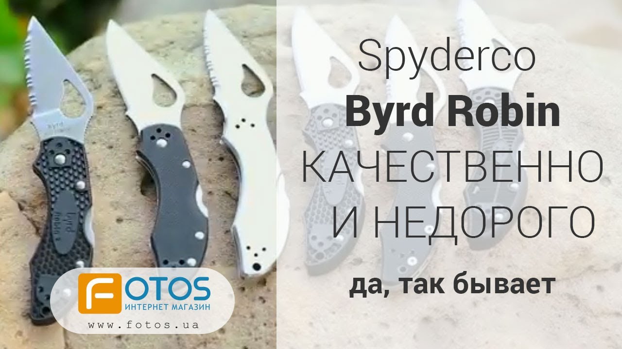 Можно ли дешево купить качественный нож? Обзор ножей Spyderco Byrd Robin - тестирование