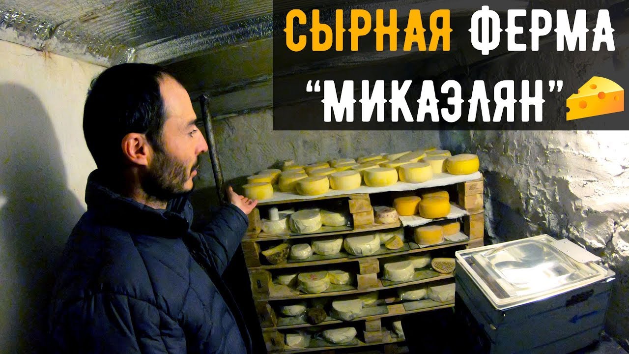 Бизнес в Армянской деревне / Сыроварня