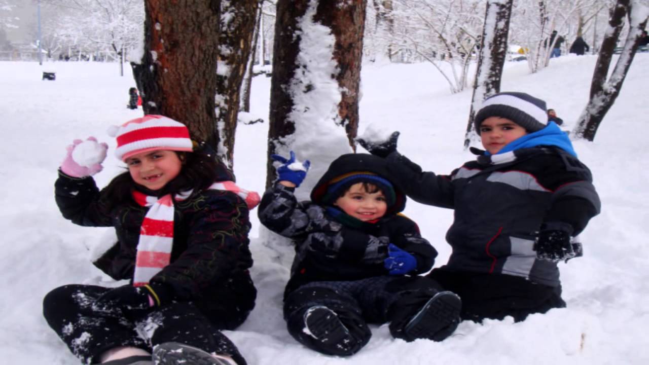 Snowicane 2010