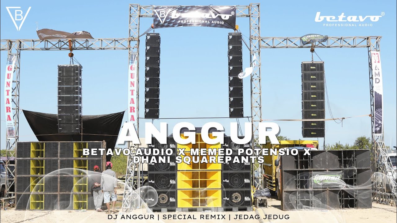 Betavo Audio X Memed Potensio X Dhani Squarepants | Anggur | Special Party Remix Jedag Jedug