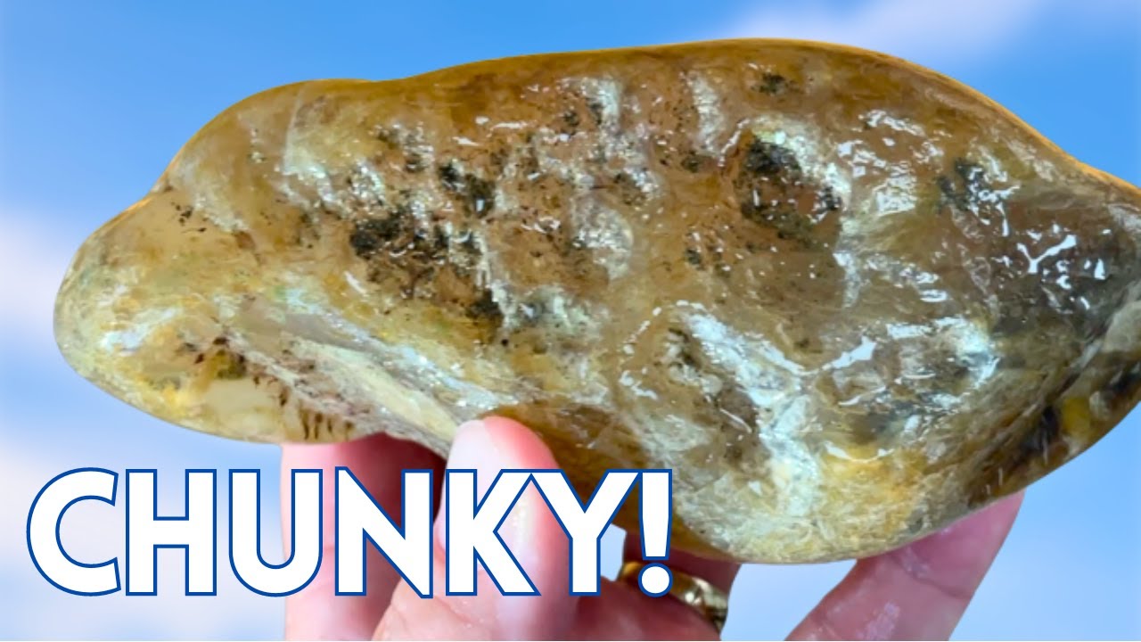 Still AGATES To Be Found! Rockhounding a Yellowstone River Fishing Access Island