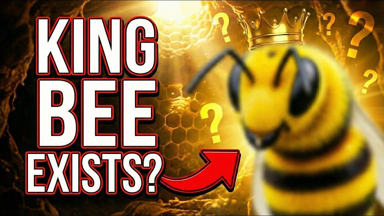 The Missing King | Why the Queen Bee Rules Alone