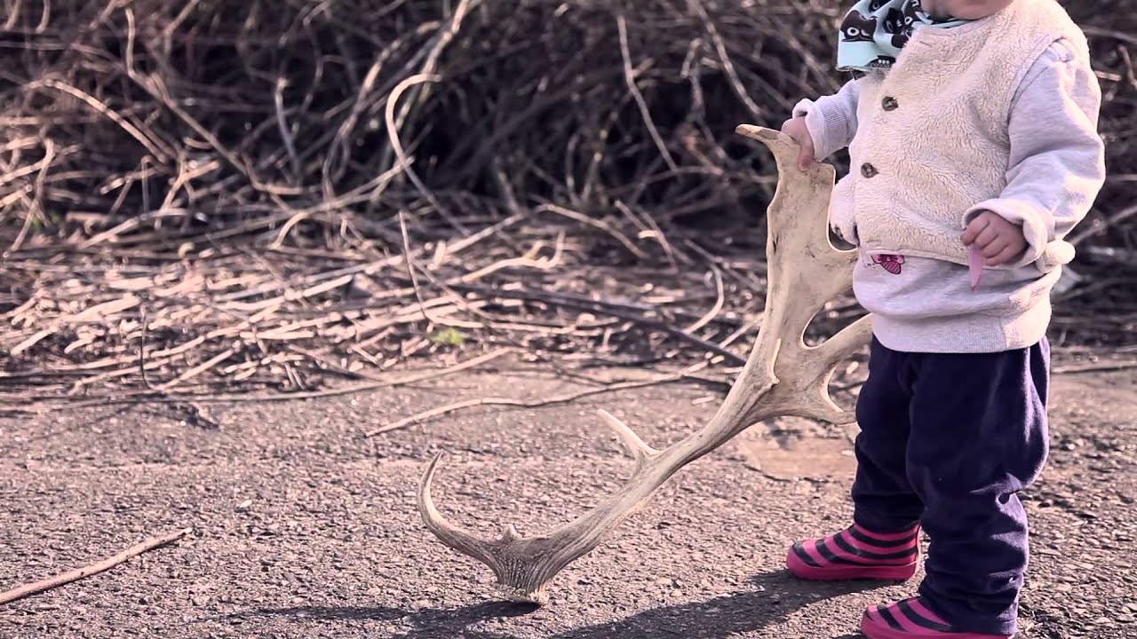 The Gentle Lurch - The Darkest Grove Of Pines (official video)
