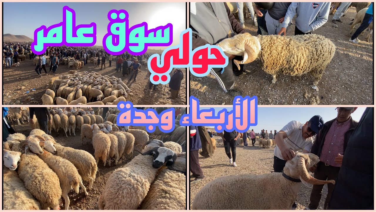 وجدة آليوم من سوق الاسبوعي الاربعاء سوق عامر حولي الناس بات تشري حول عيد خير موجود الثمان كاين