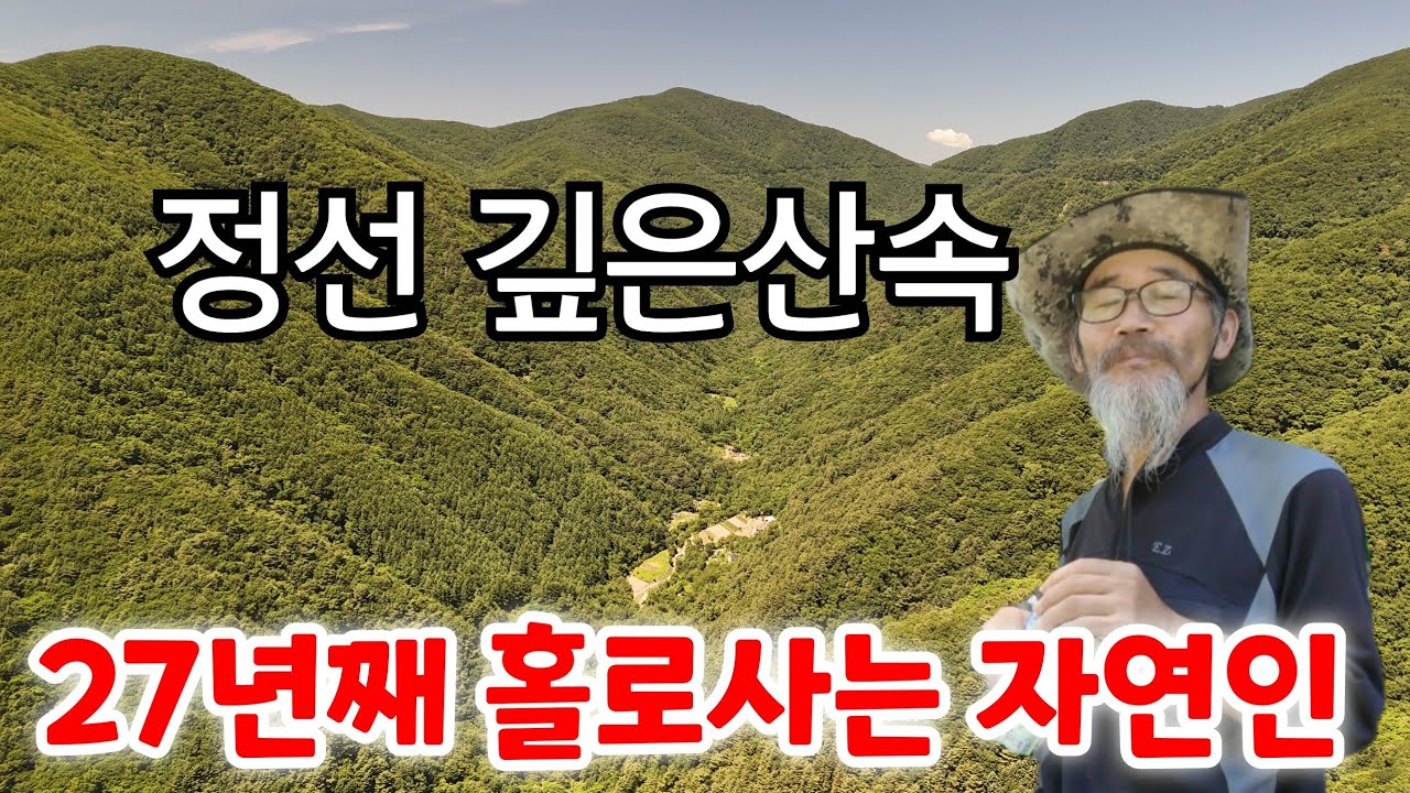 정선 깊은 산속에서 27년째 홀로사는 자연인 이제는 힘들다고 하시네요