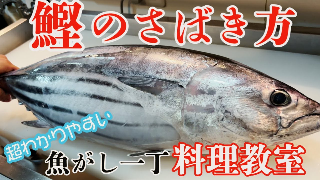 【鰹のさばき方・刺身の作り方】超わかりやすく解説 Japanese fish market and washoku Japanese cuisine