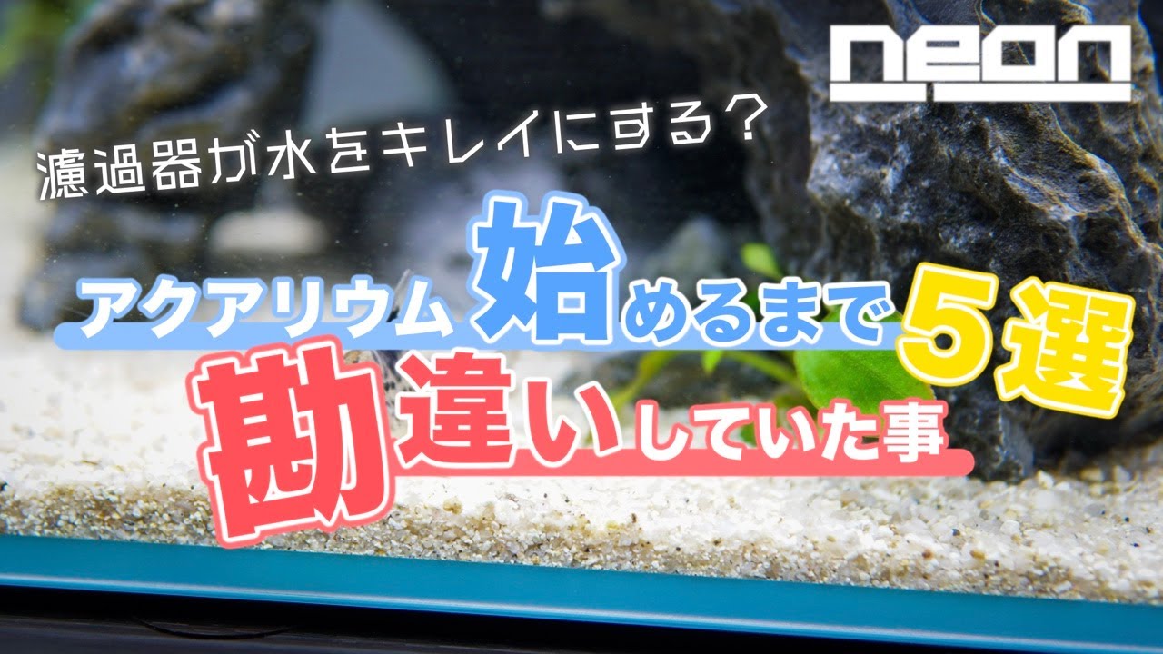 【 濾過器が水をキレイにする？】アクアリウムを始めるまで勘違いしていたこと５選【 ne0n 】 #アクアリウム