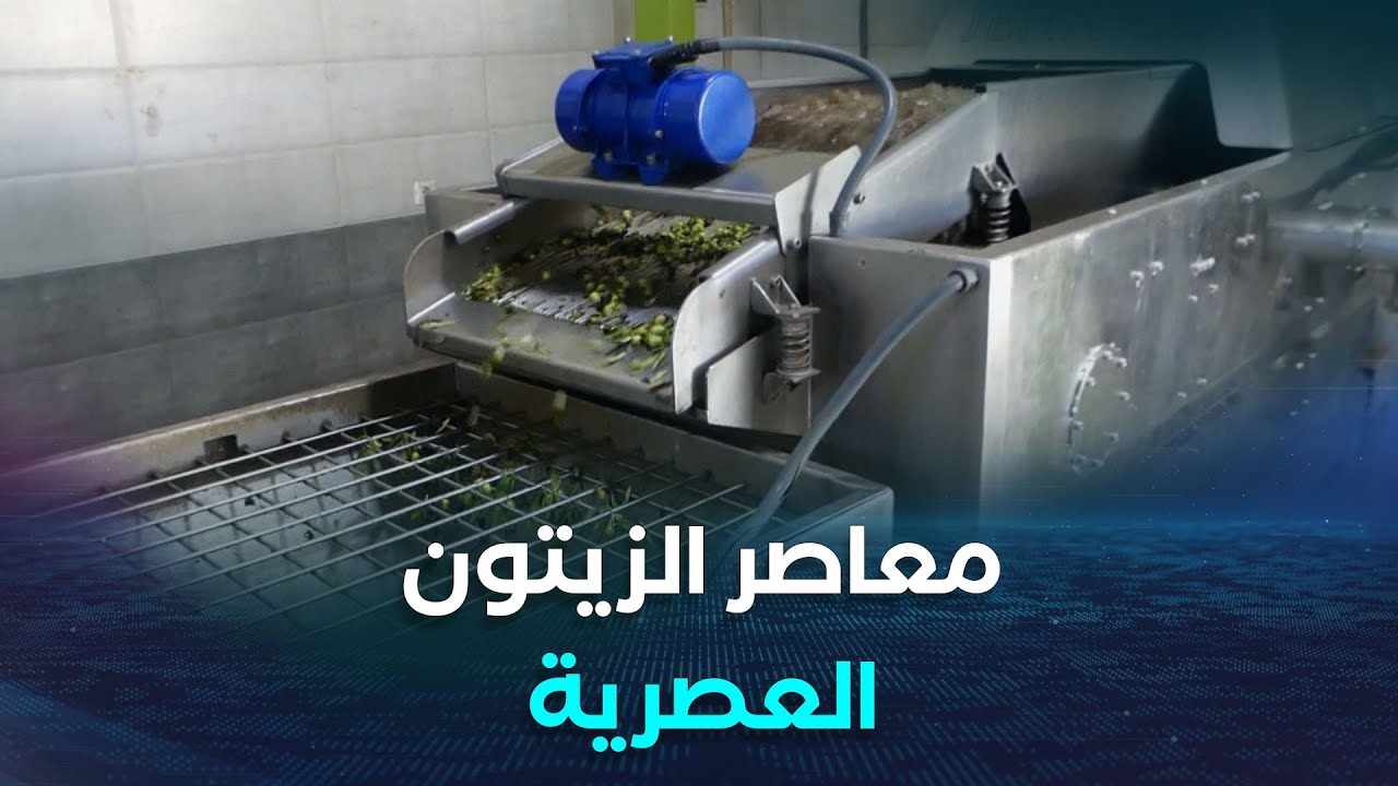 برج بوعريريج | معاصر الزيتون الحديثة.. جودة الزيت واختصار للوقت والجهد