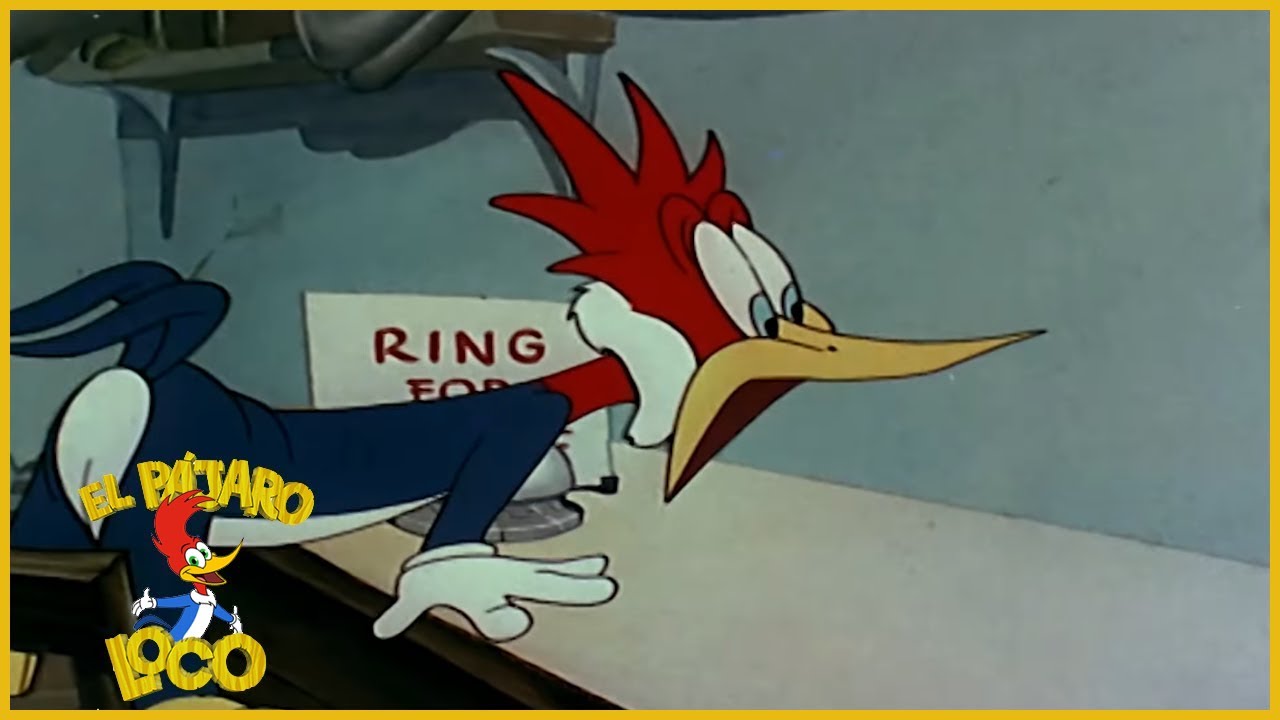 El Pájaro Loco Episodio Completo | Woody cena fuera | Dibujos Animados | Caricaturas
