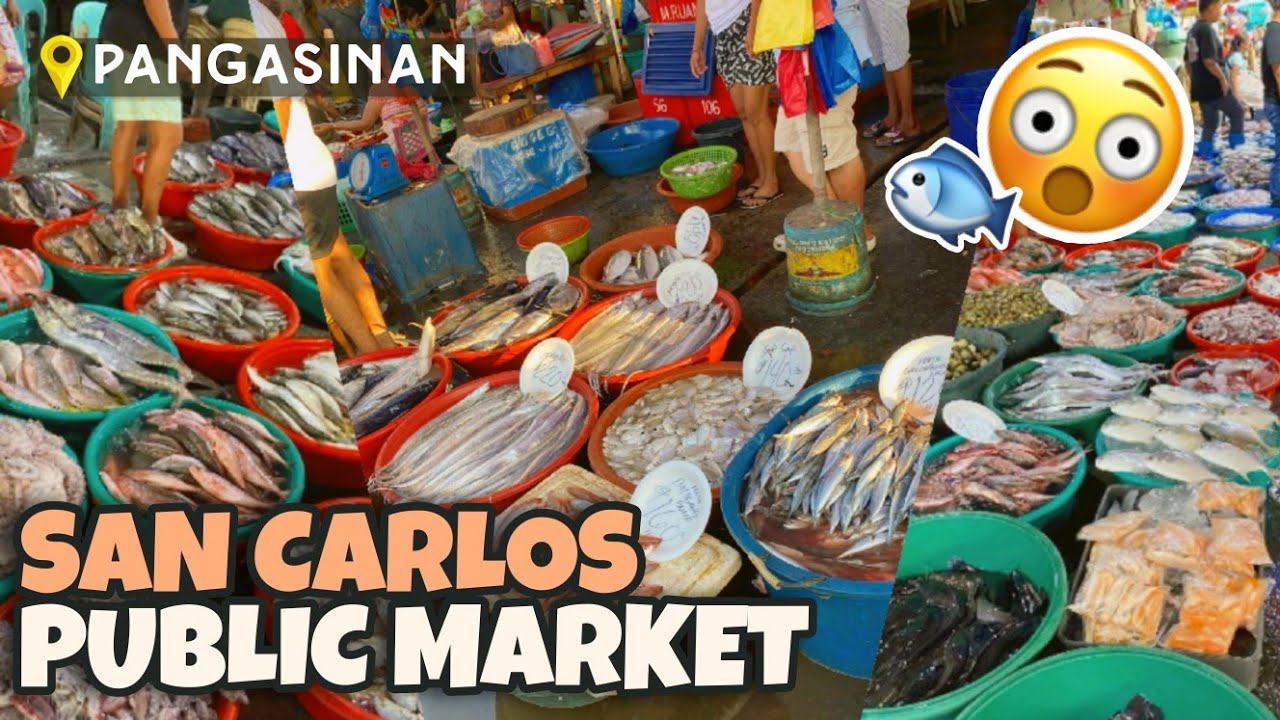 SAN CARLOS CITY NEW PUBLIC MARKET | Pangasinan Philippines  | Nhico Mhogs Vlog