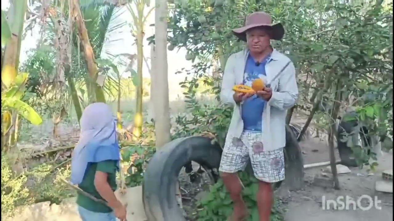 Fartura