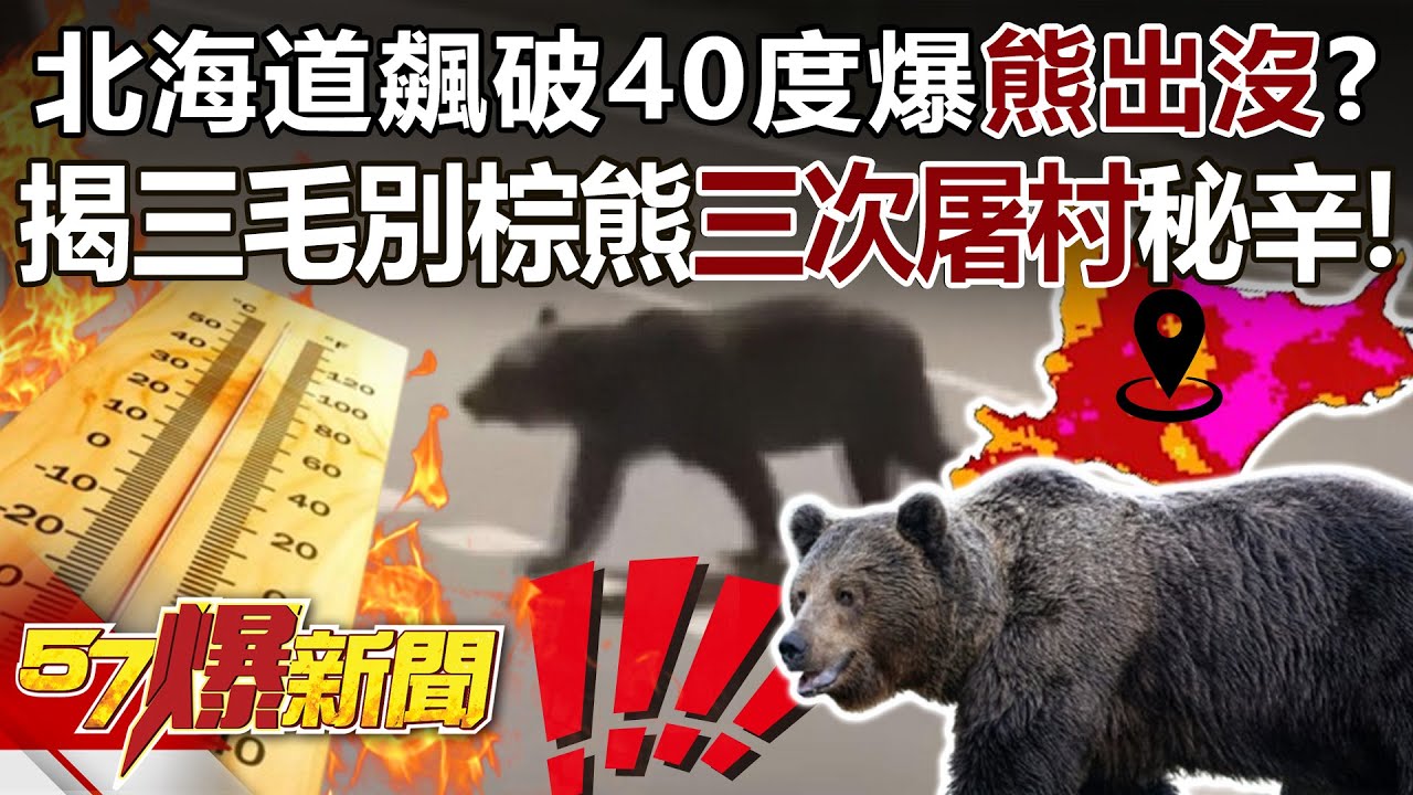 北海道飆破40度爆「熊出沒」？ 揭三毛別棕熊「三次屠村」秘辛！ - 馬西屏 徐俊相《57爆新聞》20250724-3