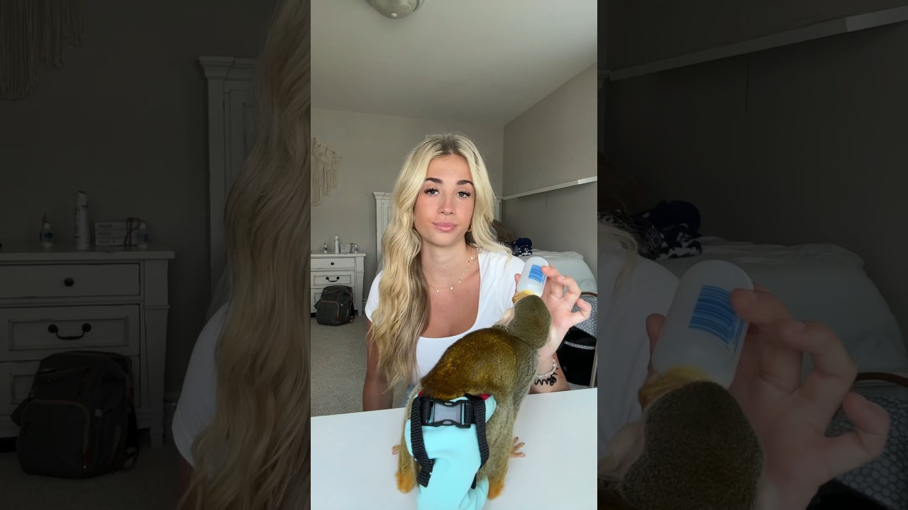 pt 1 #madlovesripley #squirrelmonkey #monkey #beauty #viral #monkeyvideo #animals #cute #funny #love