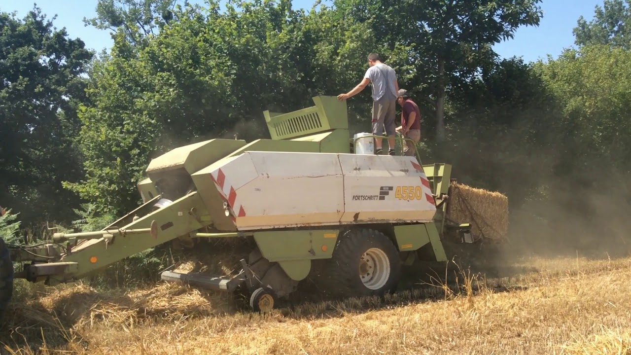 pressage 2019 fortschritt 4550