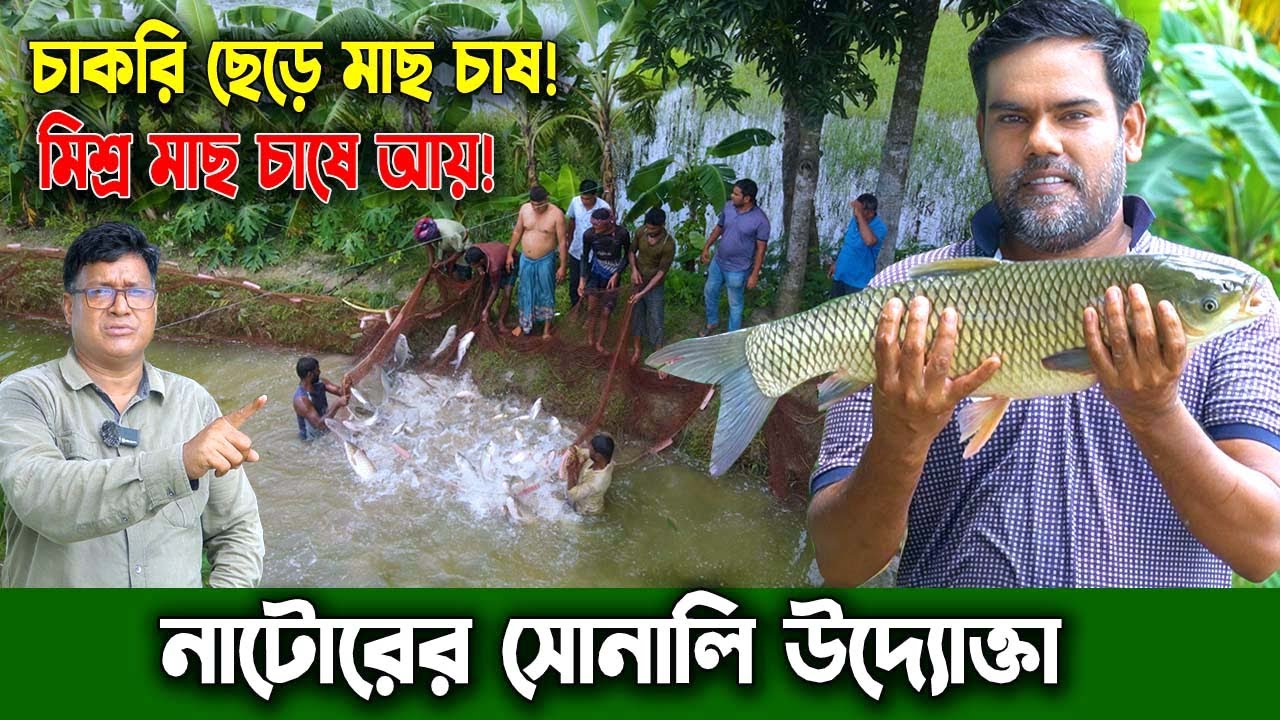 নাটোরের শিক্ষিত উদ্যোক্তা চাকরি ছেড়ে মাছ চাষ। মিশ্র মাছ চাষে দারুণ সাফল্য