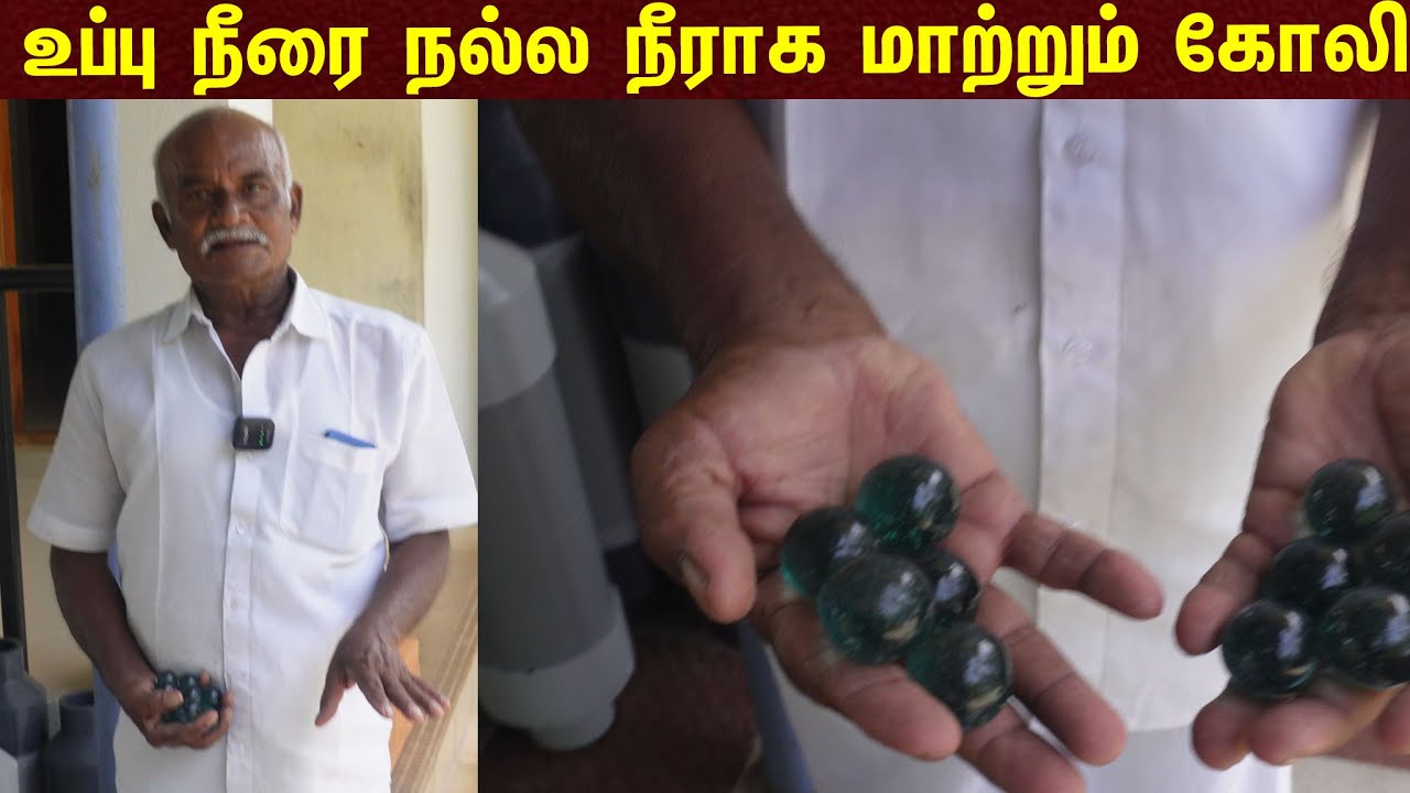 வெறும் கோலி போதும் உப்பு நீரை நல்ல நீராக மாற்றும் #pasumaivivashayam#பசுமை விவசாயம்#இயற்கை விவசாயம்#