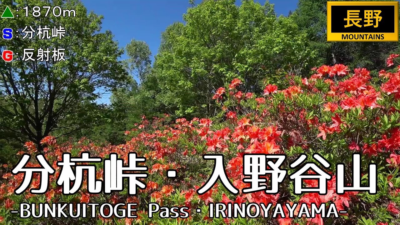 【🦉賢者の森🦉】(118)分杭峠・入野谷山とチカラの泉 -分杭峠→風の丘→結の桂→希望の泉→光のテラス→入野谷山→パノラマ尾根の頭→反射板-