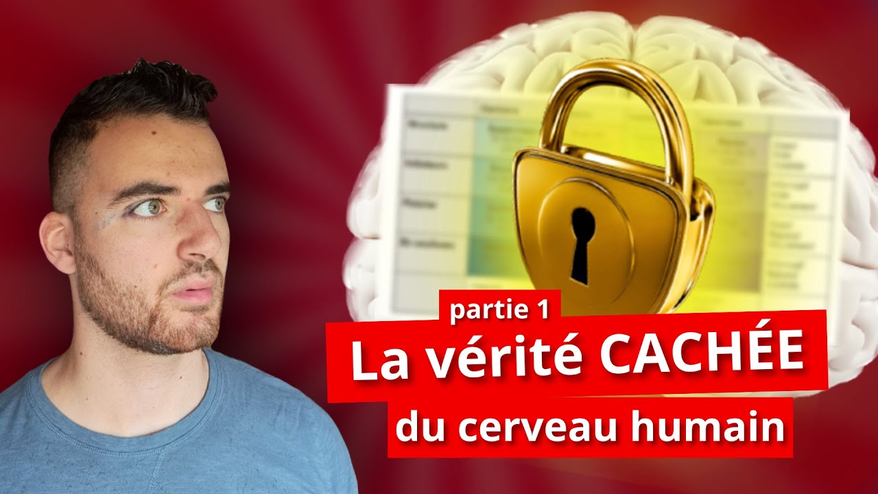 Comment les 8 fonctions cognitives influencent ta vie (et celle des autres)