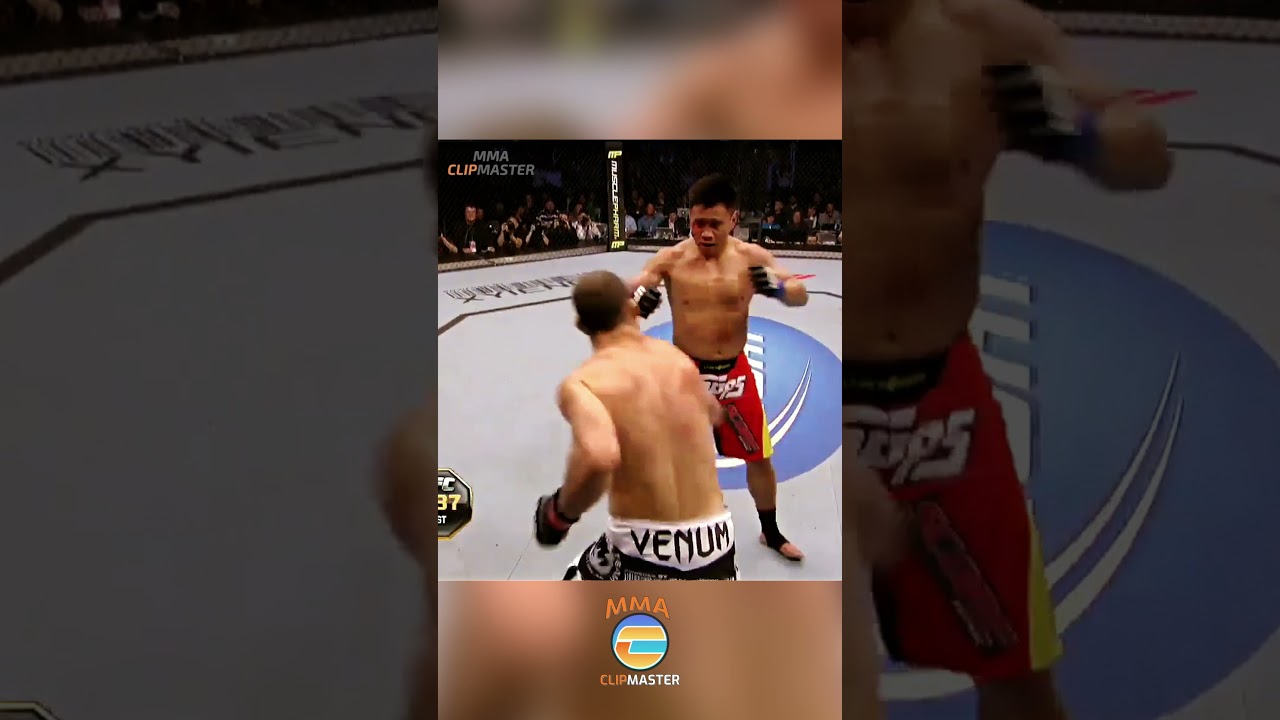 The Axe Murderer Wanderlei Silva's INSANE COMEBACK KNOCKOUT vs Cung Le