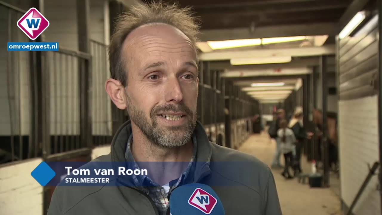 Kinderen krijgen inkijkje in werk op een manege