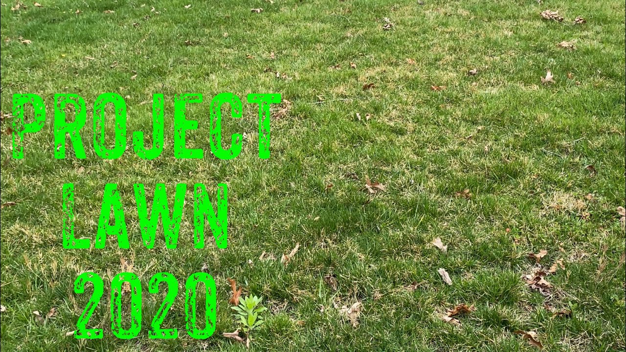 How to revitalize an old yard // Project Lawn 2020