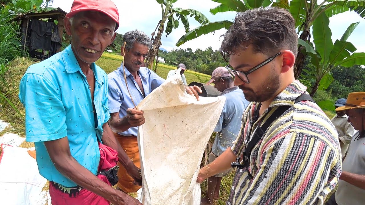 I Became Sri Lanka's Worst Rice Farmer! 🇱🇰