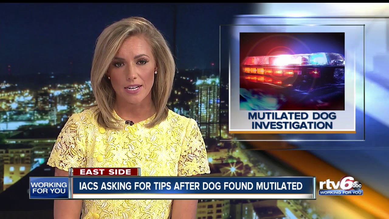RTV6 News at 11 | March 4, 2020